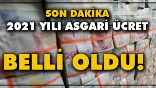 Asgari Ücret Belli Oldu ? 2021 Yılı Asgari Ücret Belli Oldu Asgari Ücret Ne Kadar Oldu