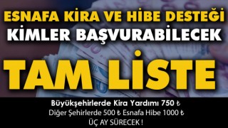 Esnafa Bin Liralık Hibe ? Hangi Esnaf Grubuna Destek Verilecek Tam Liste