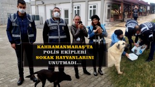 Polis Ekipleri'nden Sokak Hayvanlarına Destek