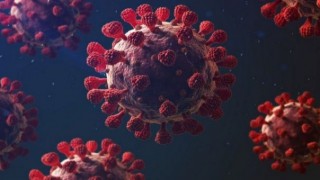 Mutasyon Nedir ? Mutasyonlu Virüs Nedir ? Mutasyonlu Koronavirüs Özellikleri nedir?