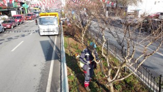 Yeşil Alanlara Bakım Çalışmaları Devam Ediyor