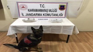 Yolcu Otobüsünde Uyuşturucu Bulundu
