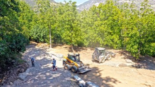 Asırlık Çınara Bakım Yapıldı