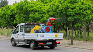 Kahramanmaraş'ta Ağaçlara İlaçlama