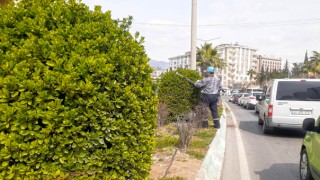 Kahramanmaraş Büyükşehir’den Yeşil Alanlarda Bakım Çalışması