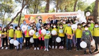 Başkan Güngör Bu Yıl 4 Bin Sokak Hayvanına Bakım Yapıldı