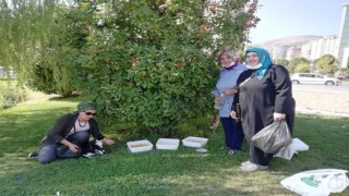 Deva Partisi Sokak Hayvanlarına Mama VE Su Bıraktı