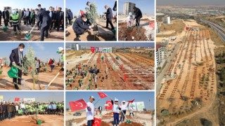 Binlerce Fidan Öğrenciler Tarafından Toprakla Buluştu