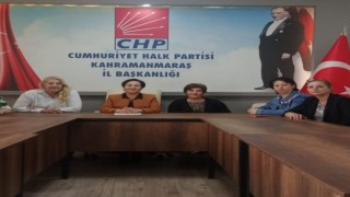 CHP Kadın Kolları'ndan 81 ilde eş zamanlı açıklama