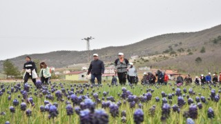 Madop Üyeleri Eko Turizmine Hayran Kaldı