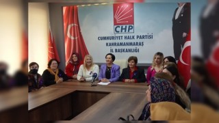 Chp Kadın Kolları Başkanı İşlek'ten Açıklama