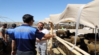 Zabıta Ekiplerinden Kurban Satış Yerlerinde Denetim