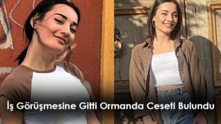 İş Görüşmesine Gitti Ormanda Bulundu