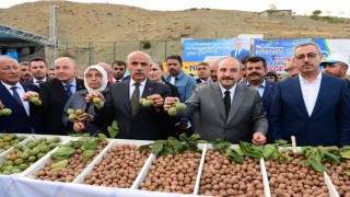 “Çağlayancerit Cevizi Markalaşacak, Çiftçimiz Kalkınacak”