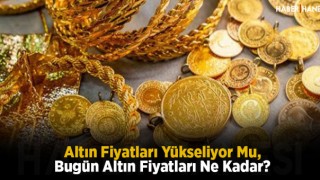 Altın Fiyatları Yükseliyor Mu, Bugün Altın Fiyatları Ne Kadar?