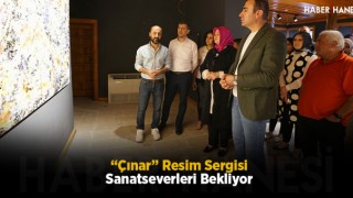 “Çınar” Resim Sergisi Sanatseverleri Bekliyor