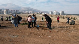 Babalarının Hatırasını, Diktikleri Fidanlarda Yaşatacaklar