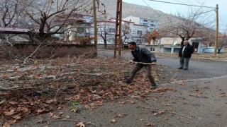 Budanan ağaç dalları, dar gelirli ailelere ulaştırılıyor