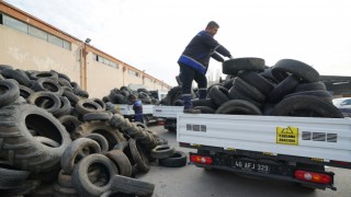 Büyükşehir, Vektörlerle Mücadele İçin Sahada