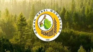 Orman Genel Müdürlüğü 1613 Personel Alım Duyurusu Yayımlandı