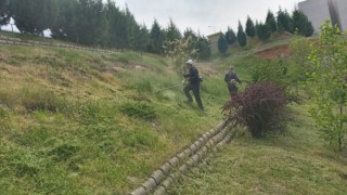 Dulkadiroğlu’ndan çevre temizliği