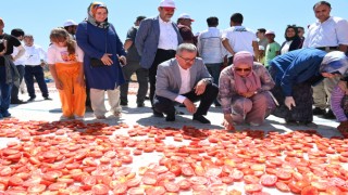 Başkan Güngör; “Tarım Ürünlerimizin İhracattaki Payı Artıyor”
