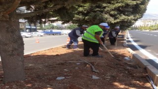 Büyükşehir, Kent Estetiği İçin Görev Başında