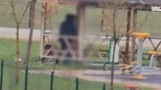 Mardin'de Skandal Olay: Parkta Cinsel İlişki Anları Kaydedildi!