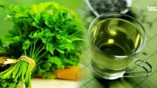 Maydanoz Çayı Nasıl Yapılır? Maydanoz Çayının Sağlığa Faydaları Nedir?