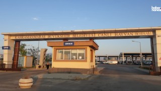 Kahramanmaraş'ta Kurban Bayramı Öncesi Padok Kiralama Başlıyor