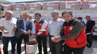 Kahramanmaraş'ta Soya Üretimine Destek: 17.500 Dekarlık Alanlara 175 Ton Soya Tohumu Dağıtıldı