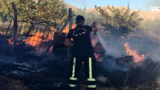 Kahramanmaraş’ta Bahçe Yangını: Bal Arıları Telef Oldu!