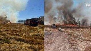 Kahramanmaraş'ta Boş Arazide Yangın Çıktı, Elektrik Direkleri Zarar Gördü!