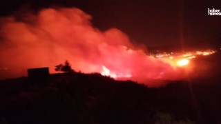 Kahramanmaraş'ta Yangın: Kuru Otlar Alev Aldı, İtfaiye Hızla Müdahale Etti