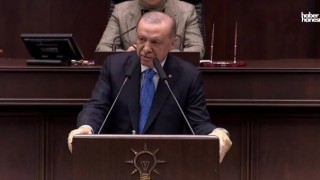 Cumhurbaşkanı Erdoğan: 'Sokaklarımızı Güvenli Hale Getireceğiz, Başıboş Köpekler Sorunu Çözülecek'