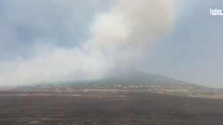 Kahramanmaraş'ın Pazarcık İlçesinde Orman Yangını: Kontrol Altına Alınmaya Çalışılıyor
