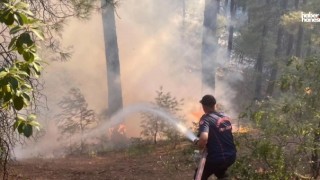 Kahramanmaraş’ta Orman Yangını Gece Boyu Süren Çabalarla Kontrol Altına Alındı