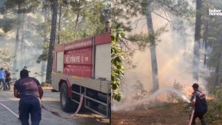 Kahramanmaraş'ta Yangın Alarmı: Piknik Ateşi 100 Hektarlık Ormanlık Alanı Yaktı