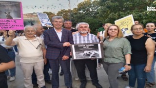 Şehitkamil Belediyesi'nden Hayvanseverlere Destek!