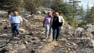 Ekinözü'nde Çıkan Yangın Hızla Kontrol Altına Alındı: Başkan Vicdan'dan Bilgilendirme"
