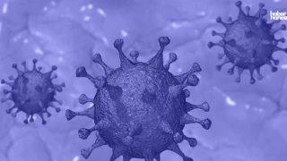 Maymun Çiçeği Alarmı: Ateş, Baş Ağrısı ve Halsizlikle Başlayan Belirtilere Dikkat