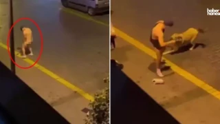 Antalya’da Sokak Köpeğine Tecavüz Girişimi: 2 Kişi Tutuklandı