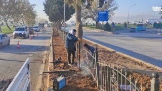 Kahramanmaraş Büyükşehir, Fırtına Sonrası Yaraları Sarıyor!