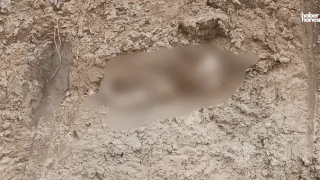Kahramanmaraş'ta Temel Kazısı Sırasında Şok Bulgu: İnsan Kemiği Şüphesi