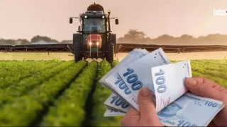 Kahramanmaraşlı Çiftçilere Tarımsal Destek Ödemeleri Başladı