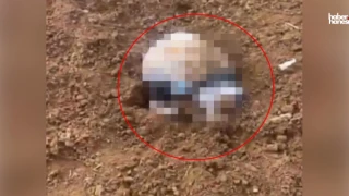 Şırnak’ta Vahşet: Arazide Poşete Sarılı Bebek Cesedi Bulundu!