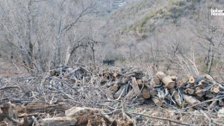 Kahramanmaraş'ta Kamyonun Uçuruma Yuvarlandığı Kazada 1 Kişi Öldü!