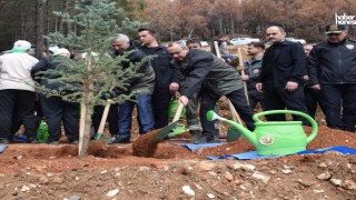 Orman Yangınlarının İzleri Siliniyor: Kahramanmaraş’ta Ağaçlandırma Hamlesi