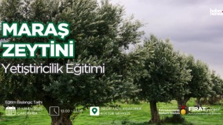 Kahramanmaraş Büyükşehir’den Zeytin Üreticilerine Eğitim Desteği!