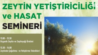 Kahramanmaraş Büyükşehirden Zeytincilikte Kalite Hamlesi